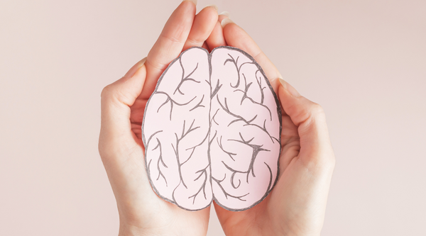Examining the Gut-Brain Connection for Better Health