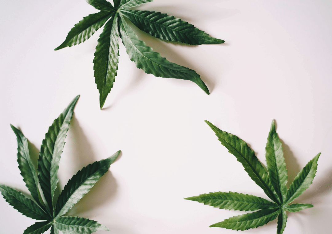 Cannabis Craze: Can CBD Really Help With Period Cramps?