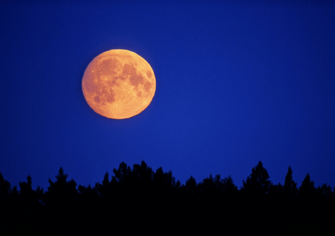 Lunar Cycles vs. Menstrual Cycles: Your Period & the Full Moon