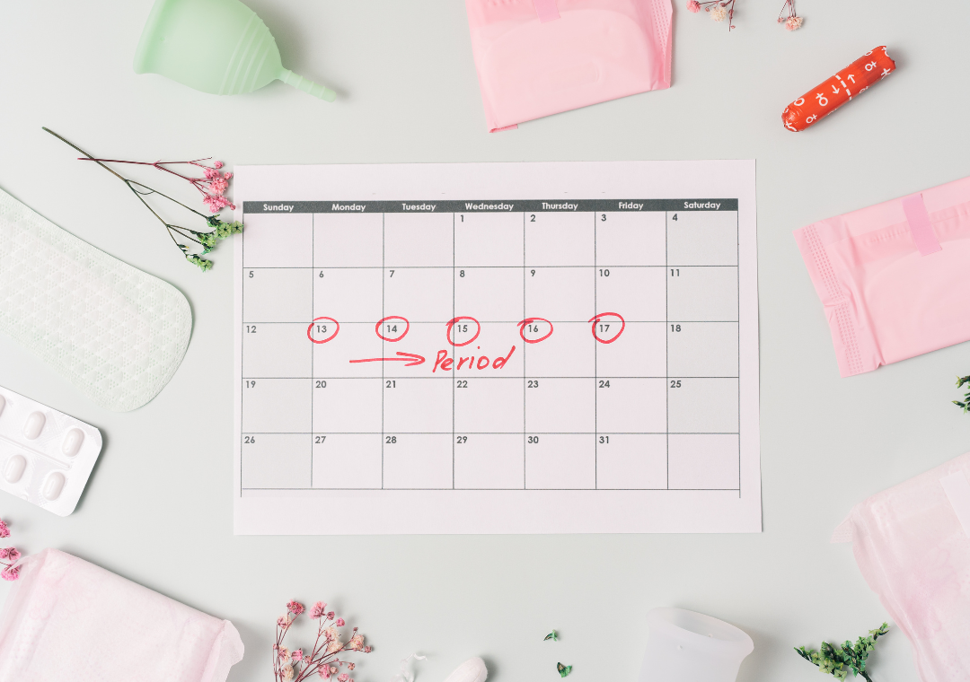 A Week by Week Guide to the Menstrual Cycle