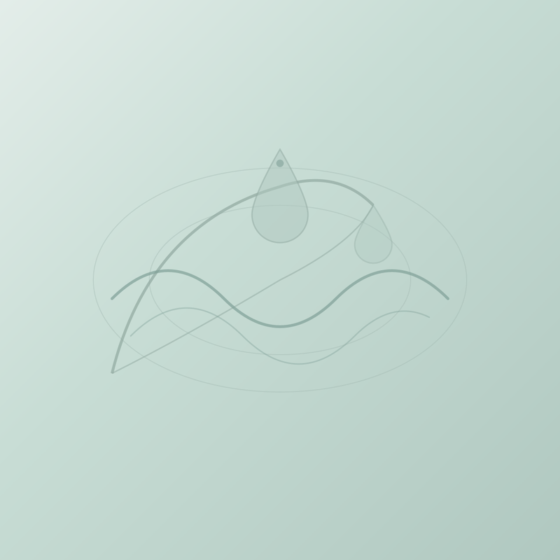 Algae DHA